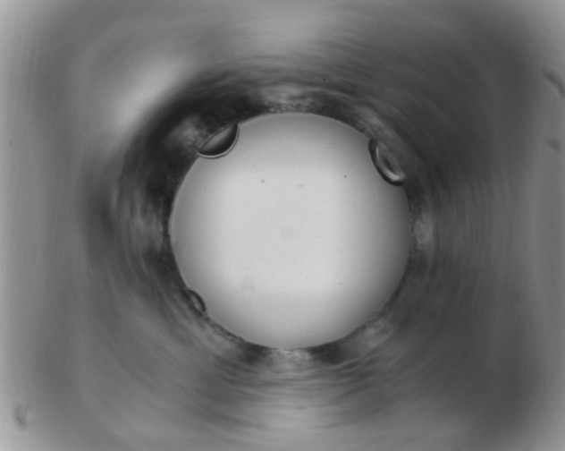 X0000103310429200809122056