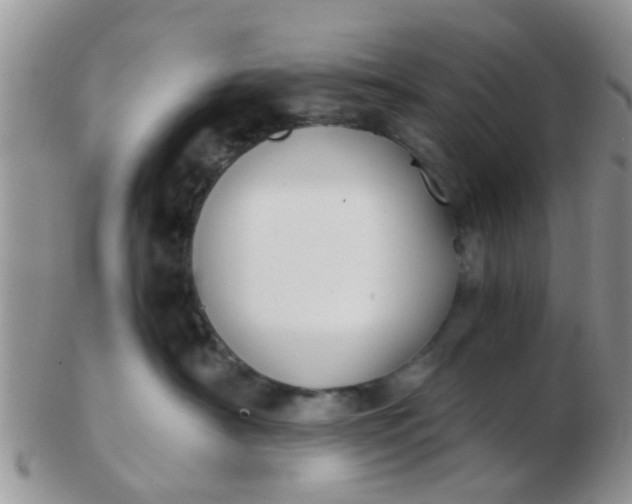 X0000103310430200809122056