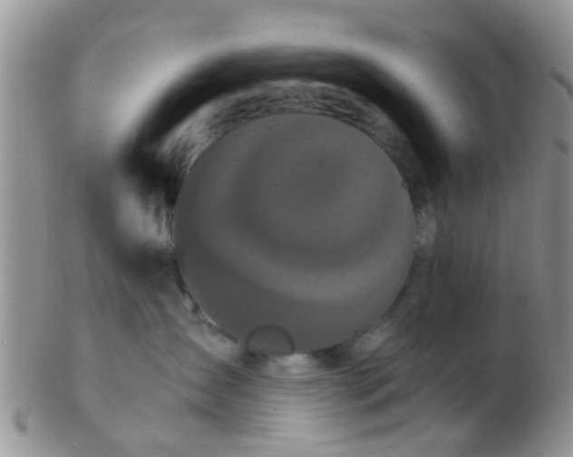 X0000103310431200809122056