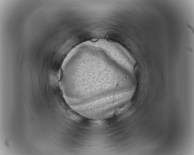 X0000103310432200809122056
