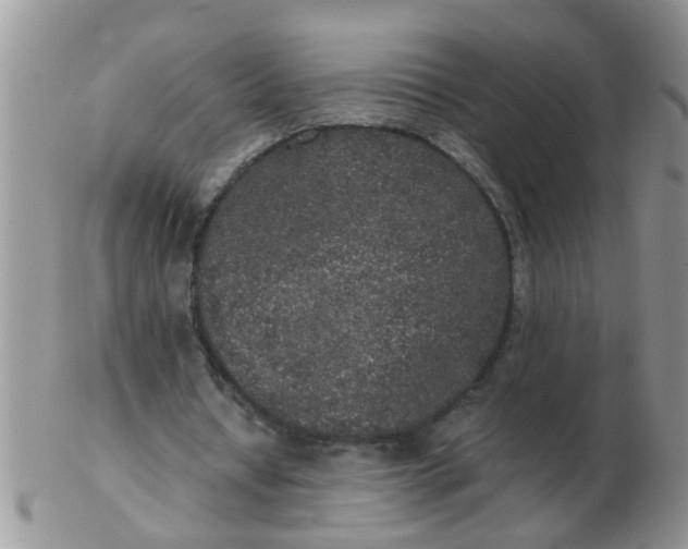 X0000103310434200809122055