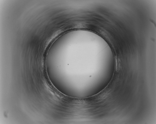 X0000103310435200809122055