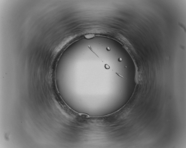 X0000103310436200809122055