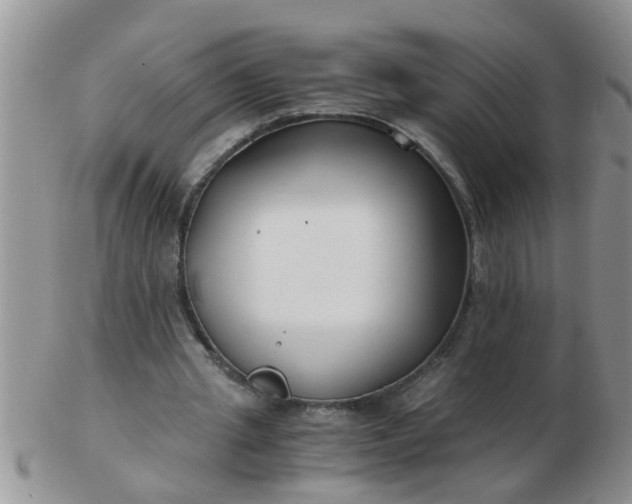 X0000103310437200809122055