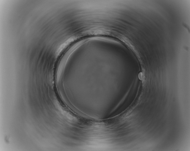 X0000103310438200809122055