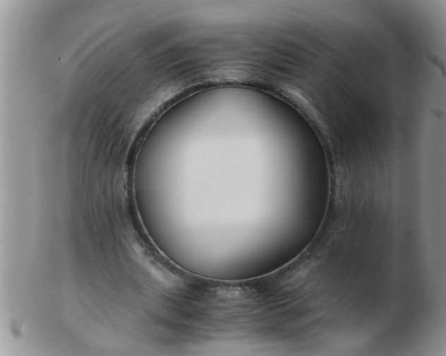 X0000103310439200809122055