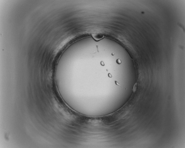 X0000103310440200809122055