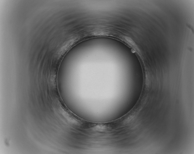 X0000103310441200809122055