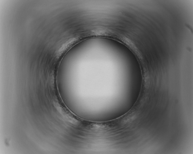 X0000103310442200809122055