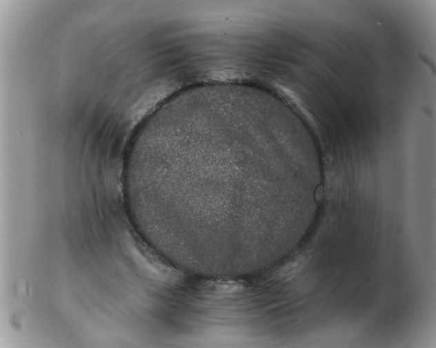 X0000103310443200809122055