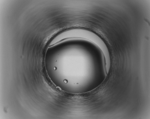 X0000103310444200809122055