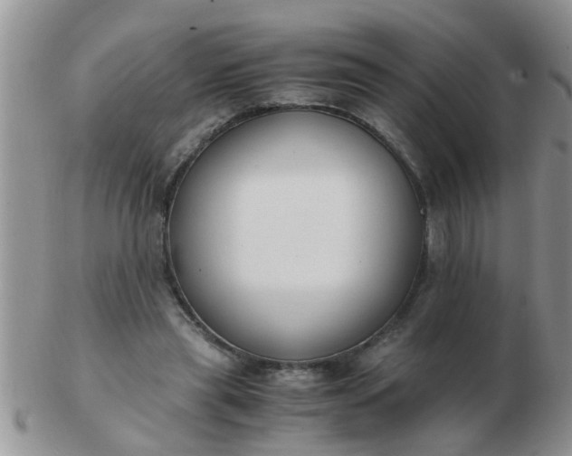 X0000103310445200809122055