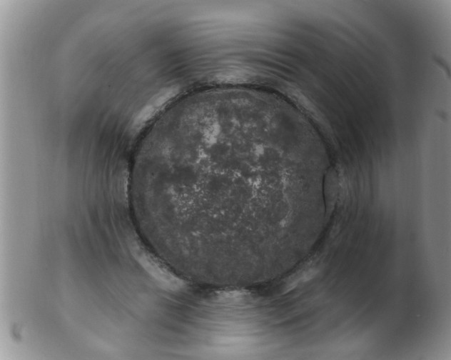 X0000103310446200809122055