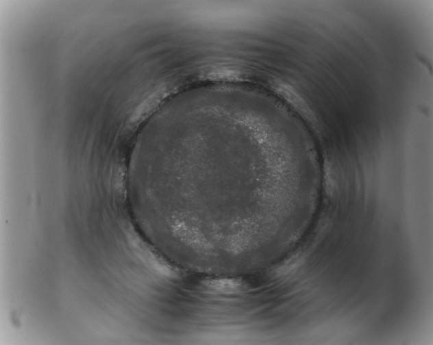 X0000103310449200809122055