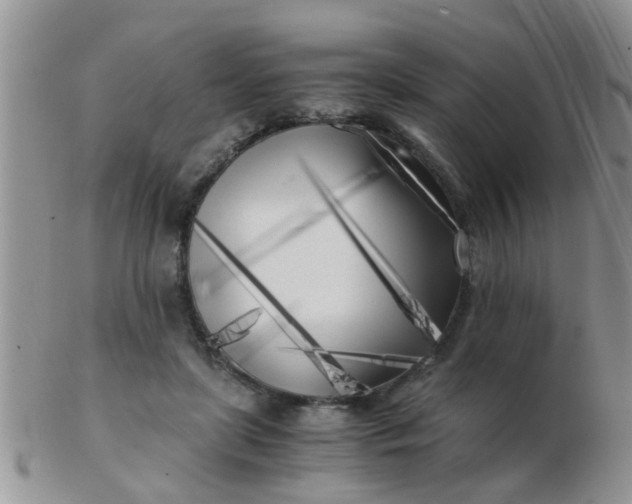X0000103310451200809122055