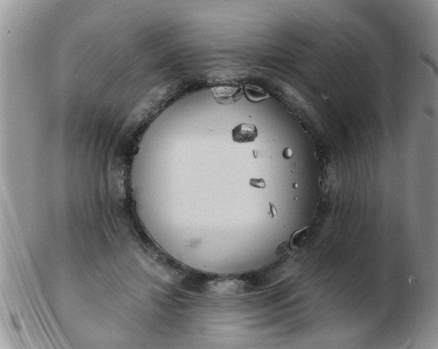 X0000103310452200809122055