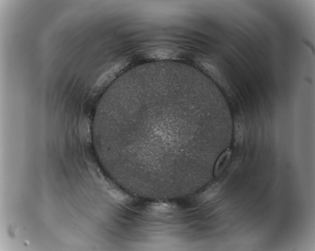 X0000103310453200809122055