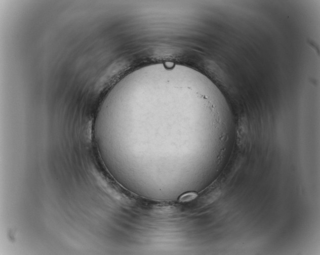 X0000103310454200809122055