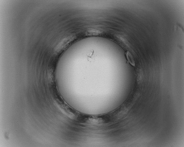 X0000103310455200809122055