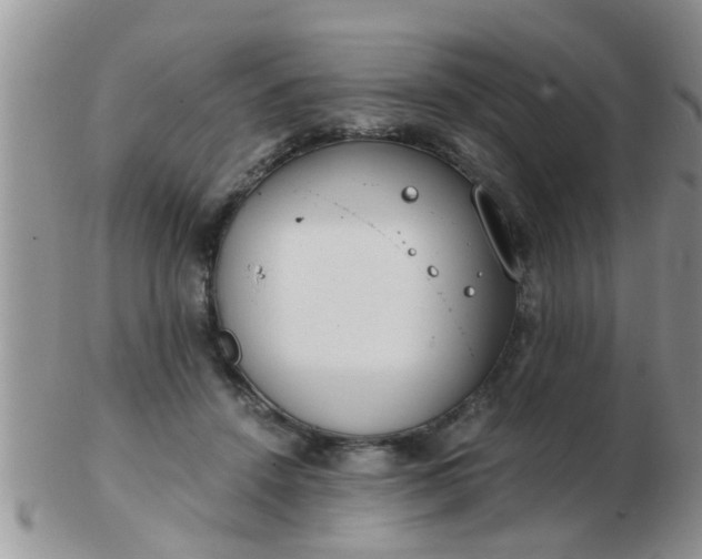X0000103310456200809122055