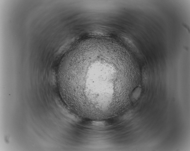 X0000103310457200809122055