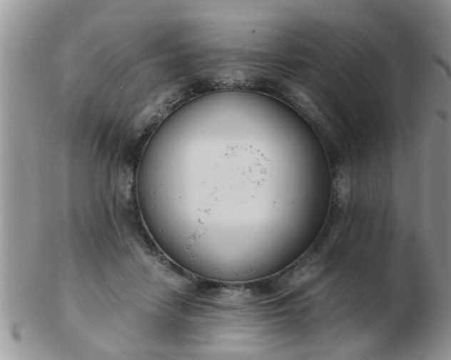 X0000103310458200809122055