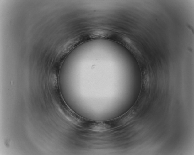 X0000103310459200809122055