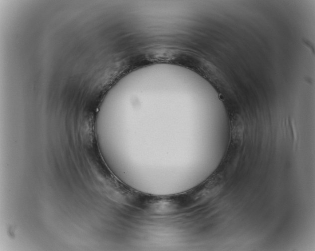 X0000103310460200809122055