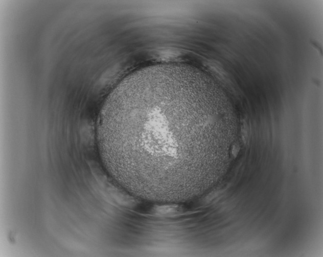 X0000103310461200809122055