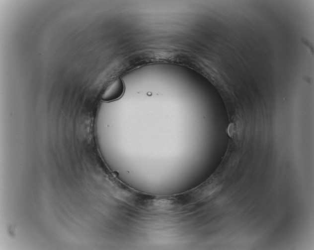X0000103310462200809122055