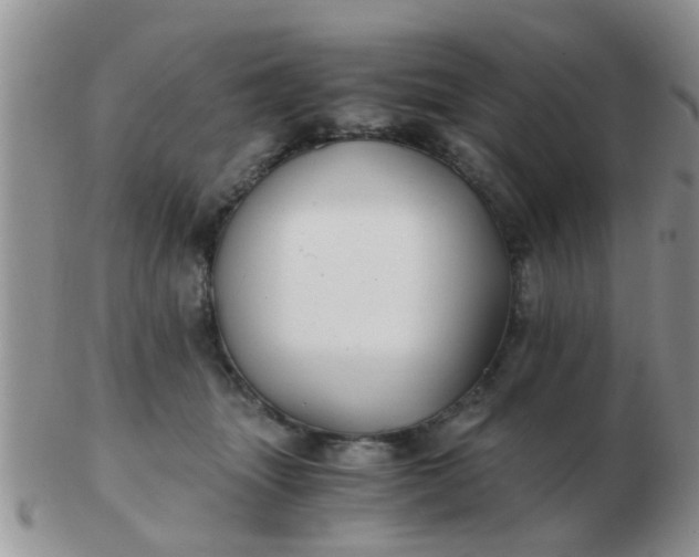 X0000103310463200809122055