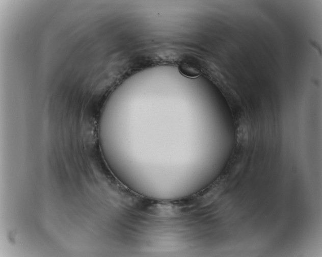 X0000103310464200809122055
