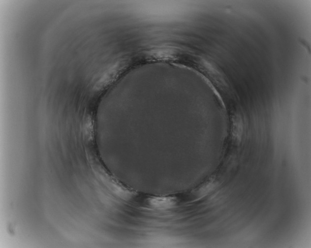 X0000103310465200809122055