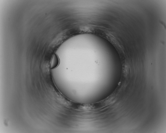 X0000103310466200809122055