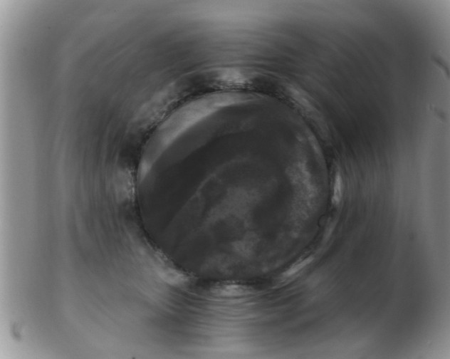 X0000103310467200809122055