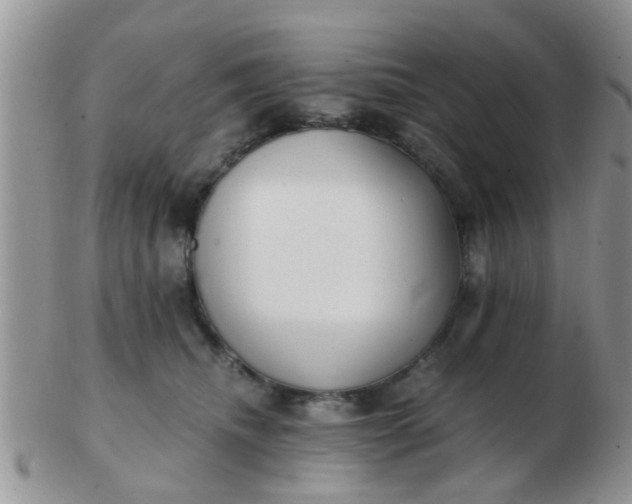 X0000103310468200809122055
