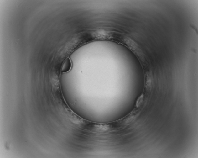 X0000103310469200809122055