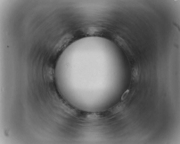 X0000103310470200809122055