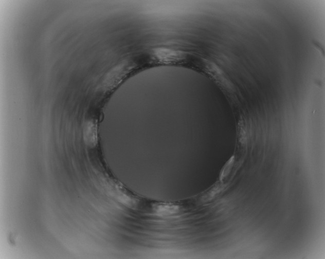 X0000103310471200809122055
