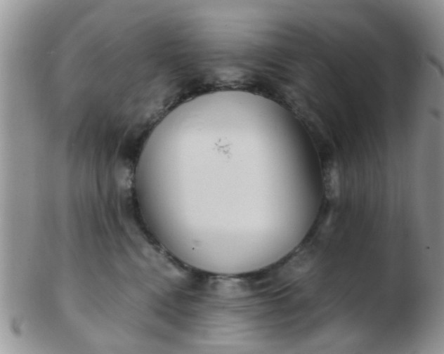 X0000103310472200809122055