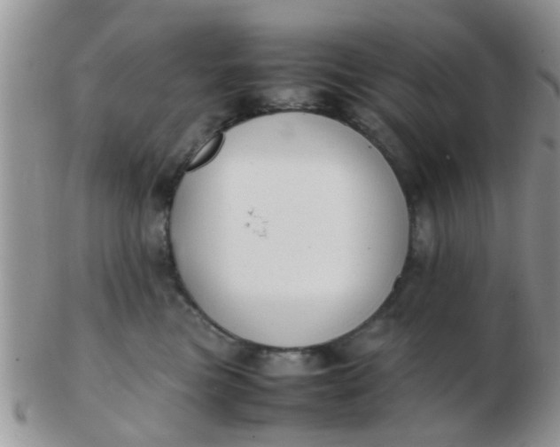 X0000103310473200809122056