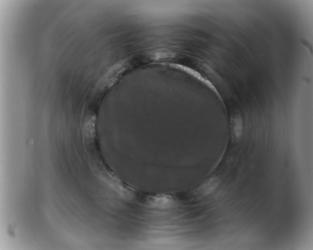X0000103310475200809122056