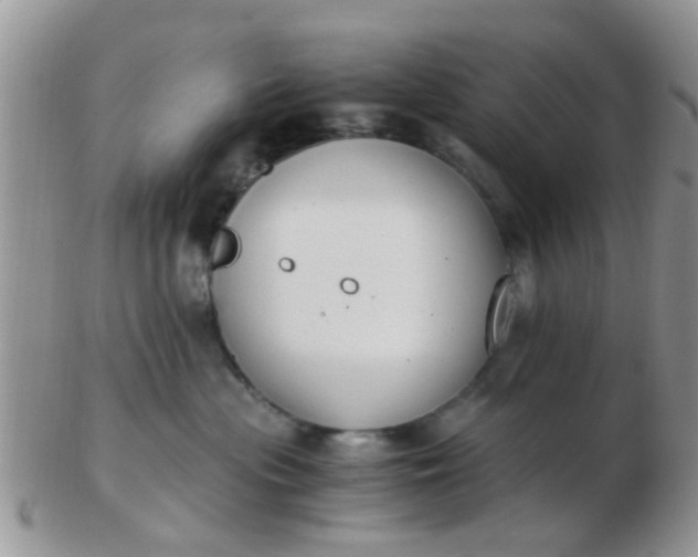 X0000103310477200809122056