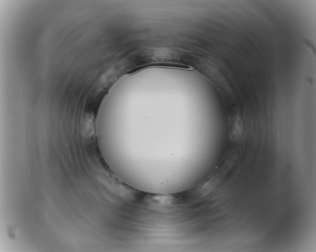 X0000103310478200809122056