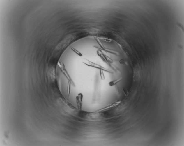 X0000103310479200809122056