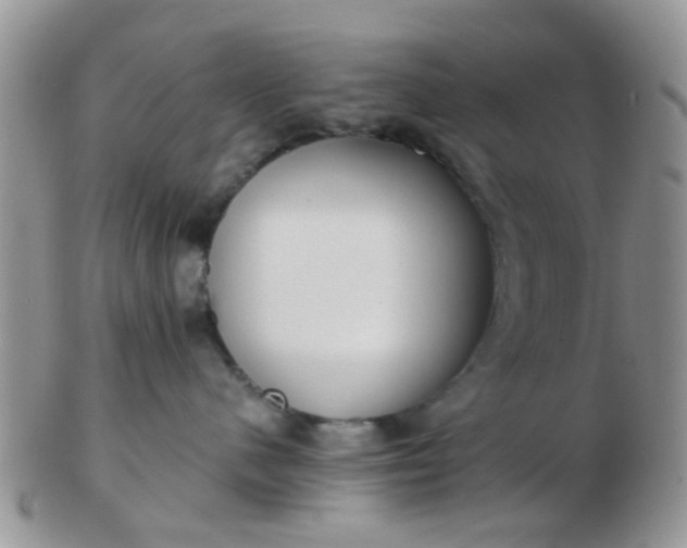 X0000103310480200809122056