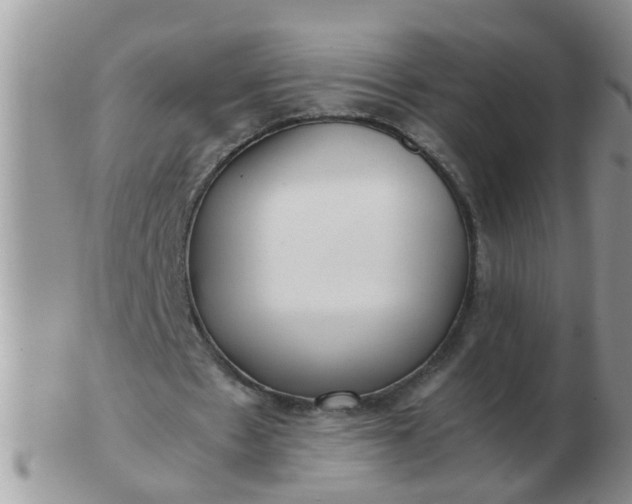 X0000103310481200809122055