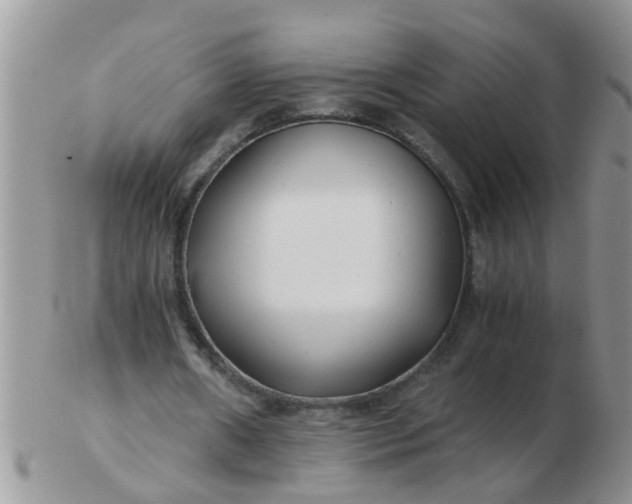 X0000103310482200809122055
