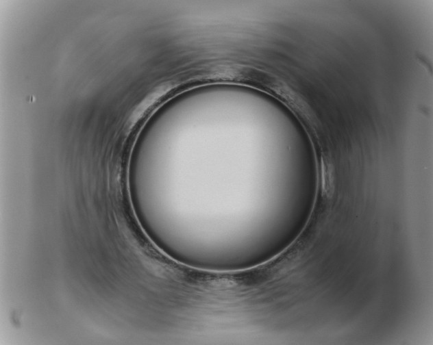 X0000103310483200809122055