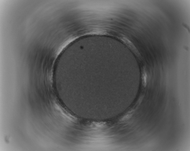 X0000103310484200809122055